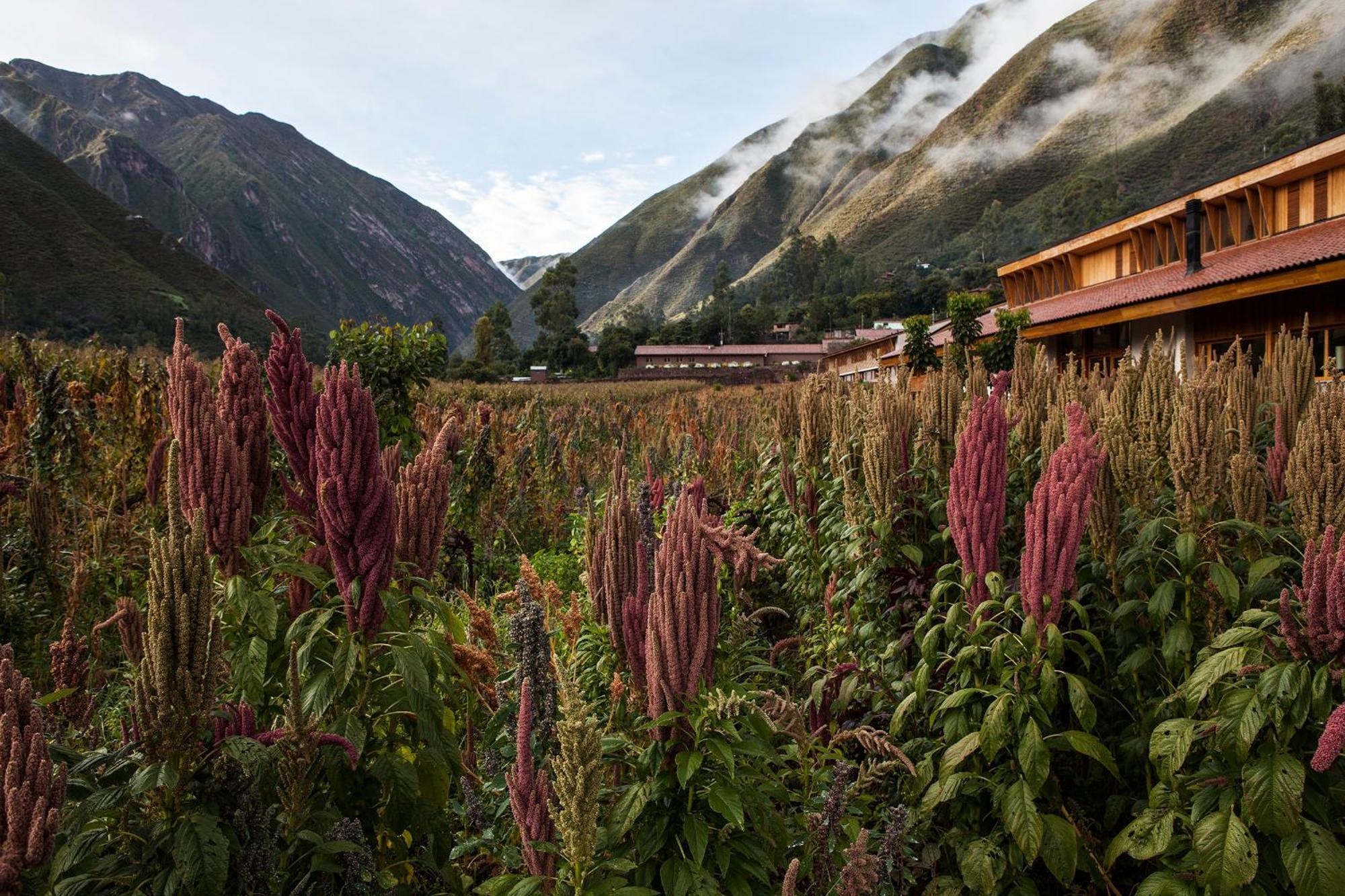 Explora Valle Sagrado Urubamba Bagian luar foto